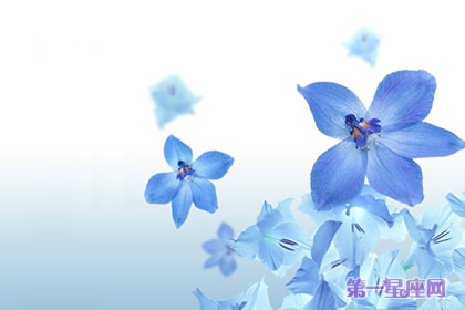 蓝色紫罗兰花语:警戒,我将永远忠诚