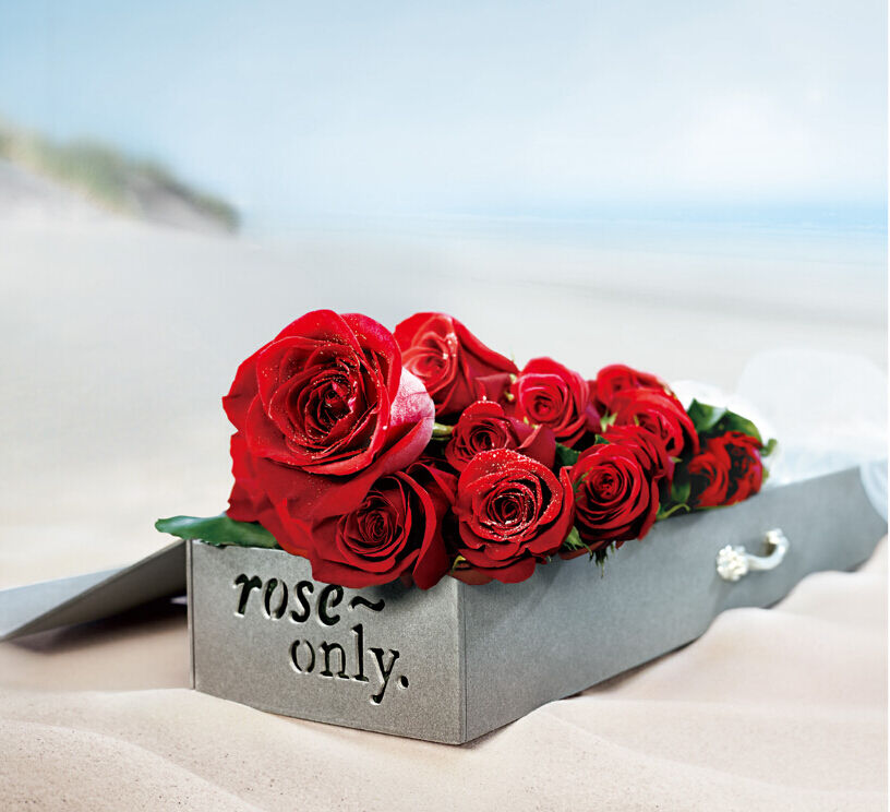 粉红色玫瑰花花语