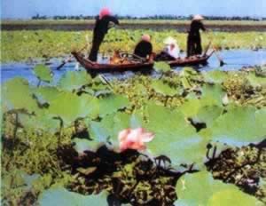 我国与越南建立外交关系