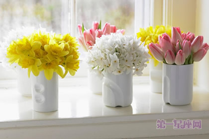 教你赔礼道歉应送什么花?