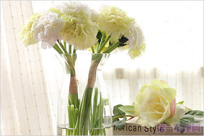 康乃馨的传说及代表意义