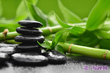 植物花语:竹子的花语是什么?