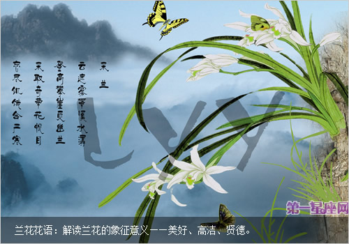 兰花花语：解读兰花的象征意义